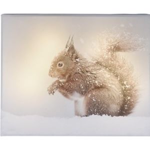 LED Obraz na plátne Animal and snow Squirrel, 20 x 25 cm
